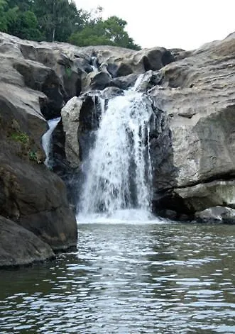 ***  Aruvi Resort Munnar India